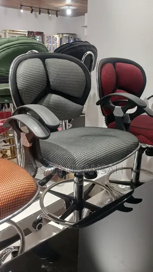 Barbering Adjustable Chair