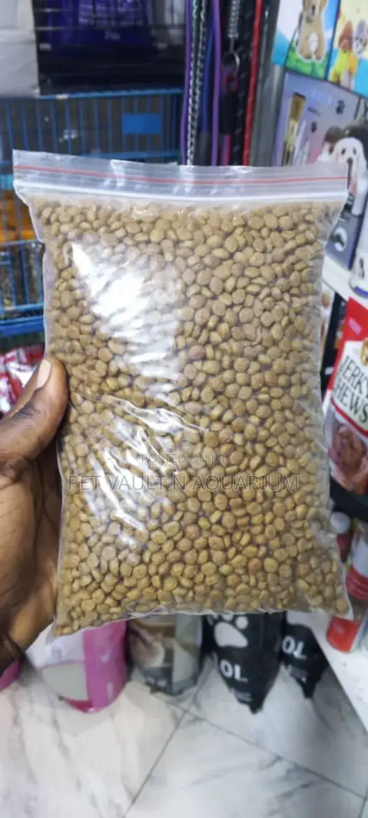 Rebaged Kittens Feed