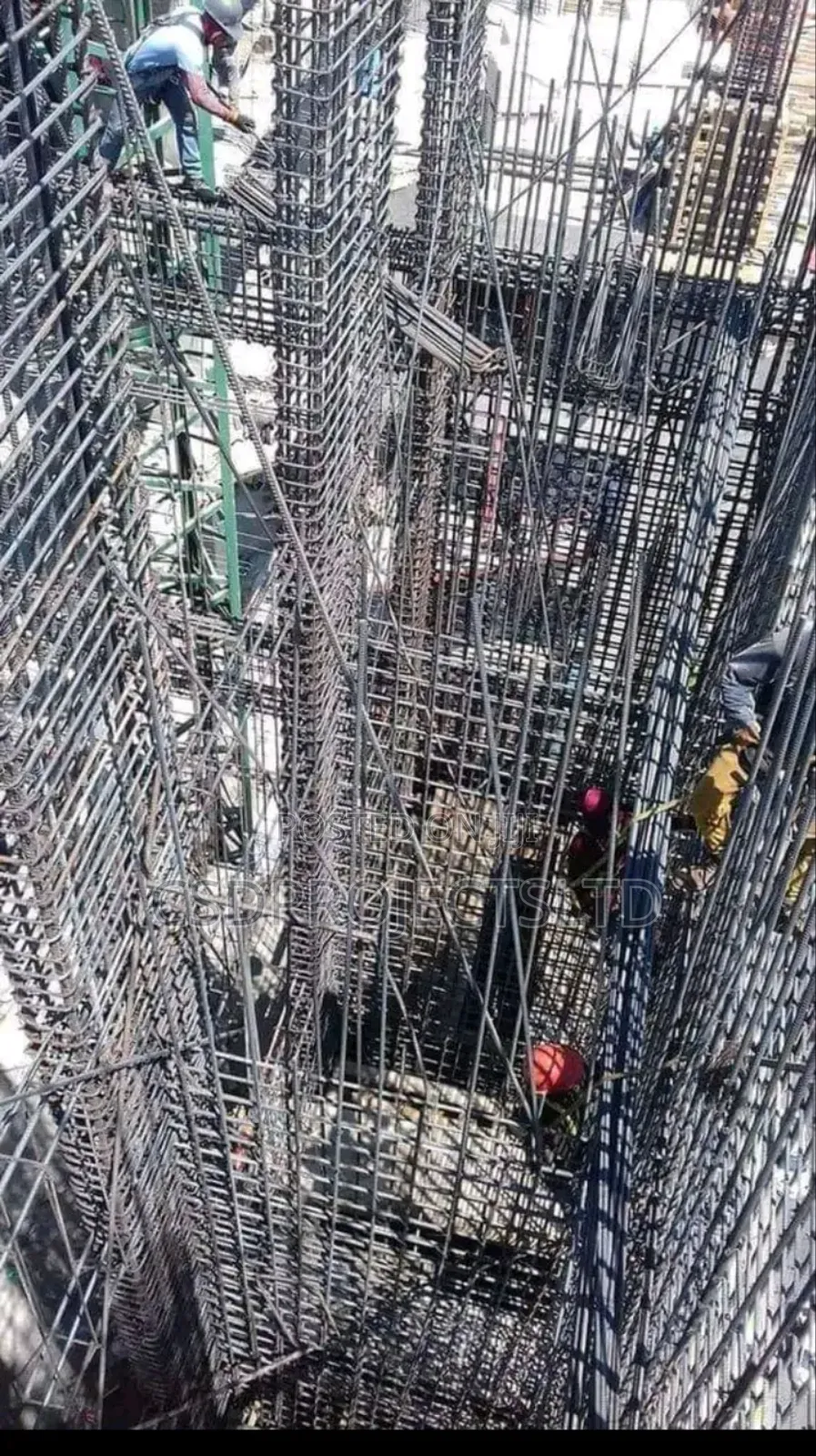 Professional Building Engineer