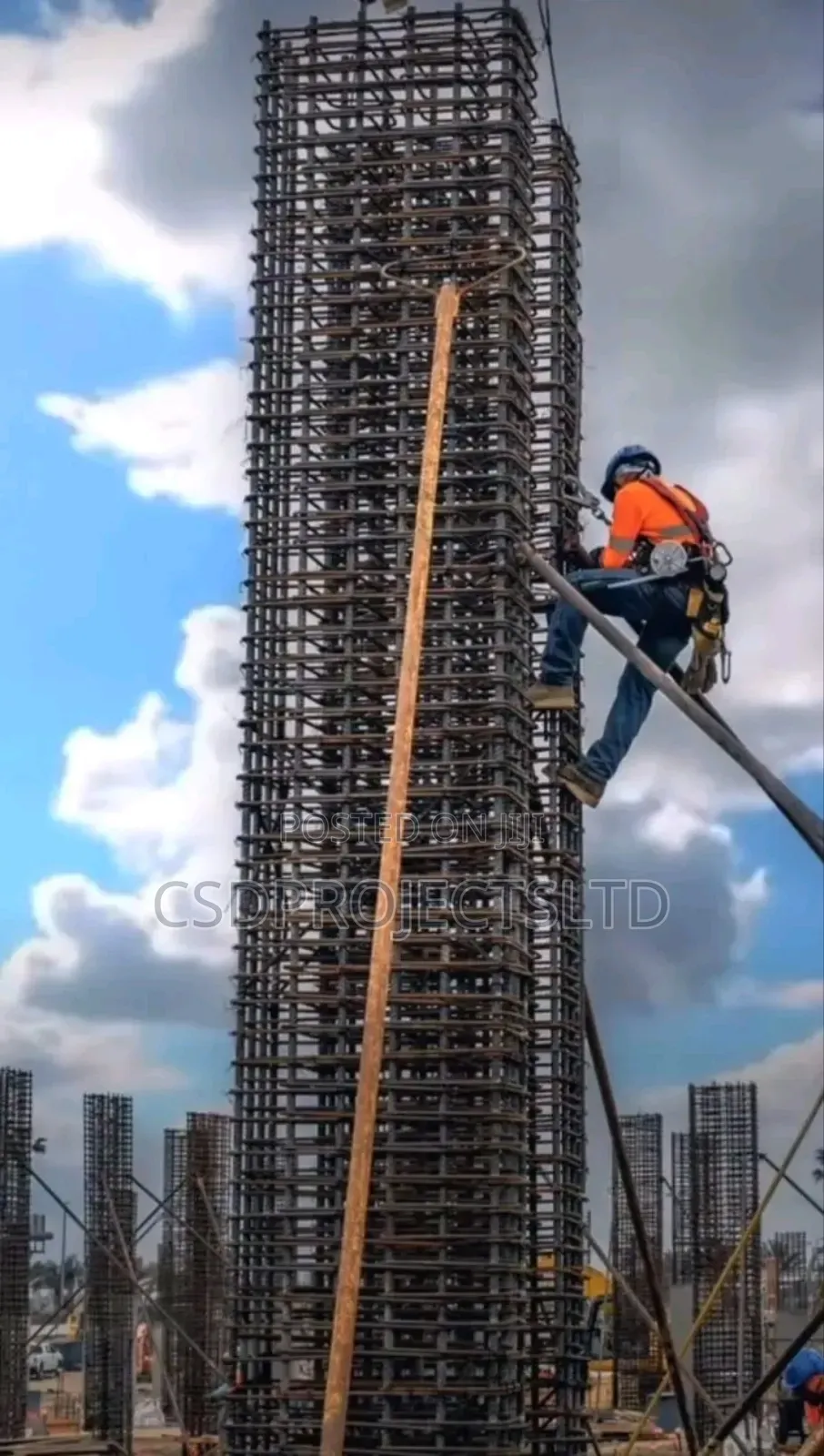 Professional Building Engineer
