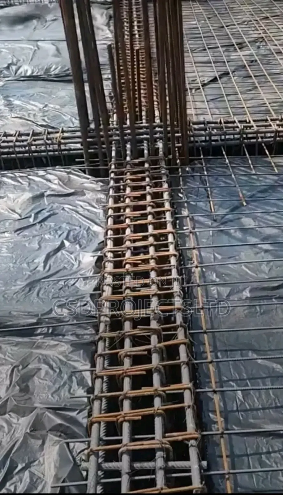 Professional Building Engineer