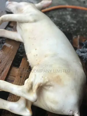 Fresh Pork