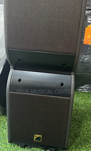 Kara 12 Inches Line Arrey Speaker
