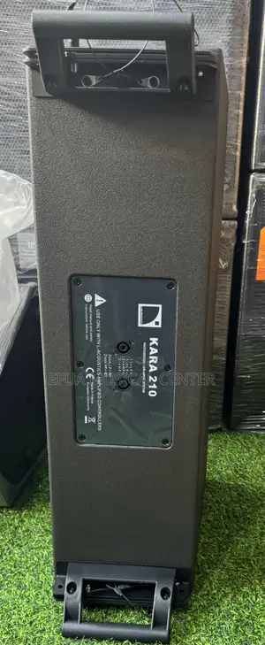 Kara 12 Inches Line Arrey Speaker