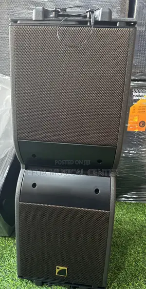 Kara 12 Inches Line Arrey Speaker