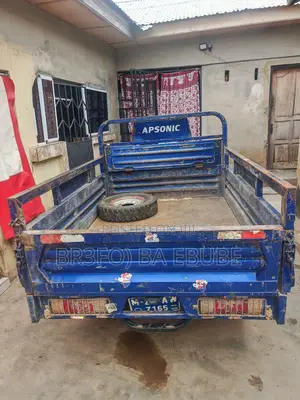 Apsonic AP150ZH-200 2024 Blue