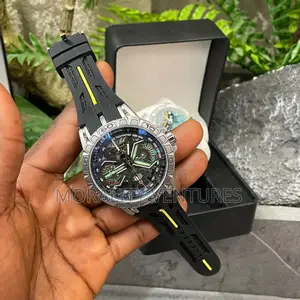 Roger Dubuis Watches