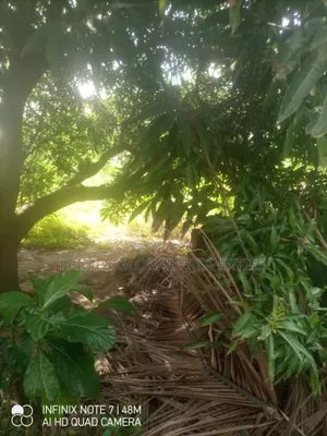 Titled 1 Acrev(4 Plots) of Land at Westland for Sale