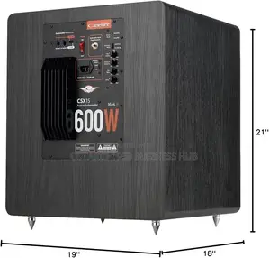 15”Active Subwoofer for Multiple Uses