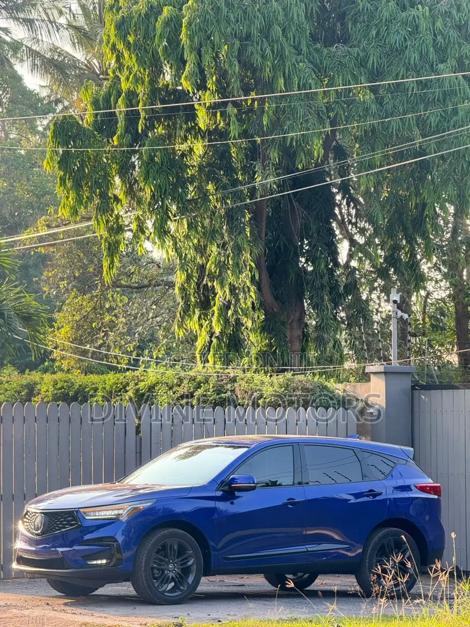 Acura RDX 2020 Blue