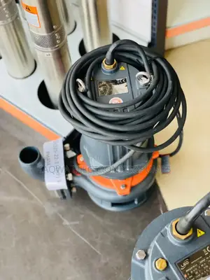 Powerful Leo 65wq25-22-3 4hp Sewage Pump