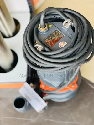 Typically 4hp Sewage Pump, Leo Submersible Sewage Pump