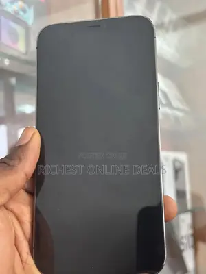 Apple iPhone 12 Pro Max 256 GB Black