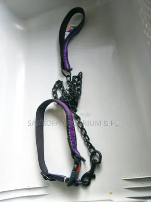 Quality Chain Leah With Collar