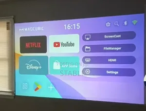L018 Projector