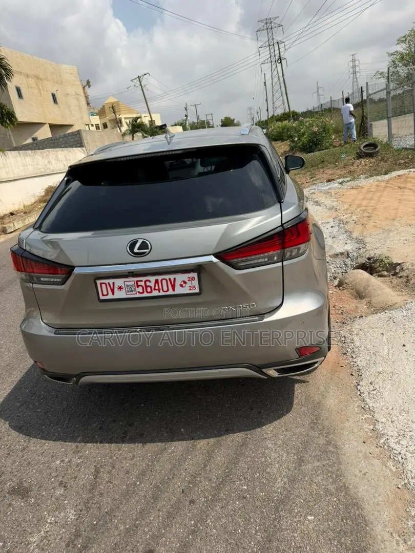 Lexus RX 350 2020 Gray