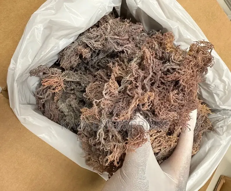 Sea Moss (Purple)