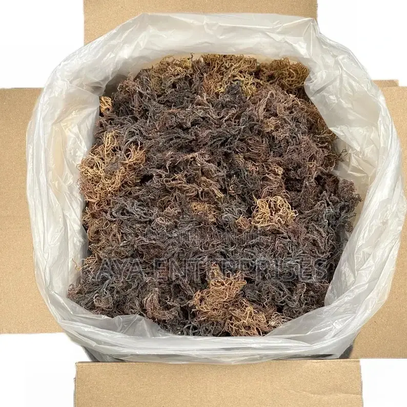 Sea Moss (Purple)