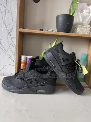 Air Jordan 4 Black Out