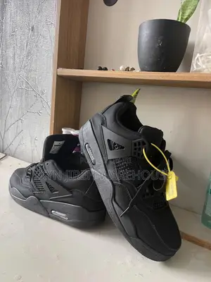 Air Jordan 4 Black Out