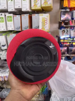C35 Portable Loudspeaker