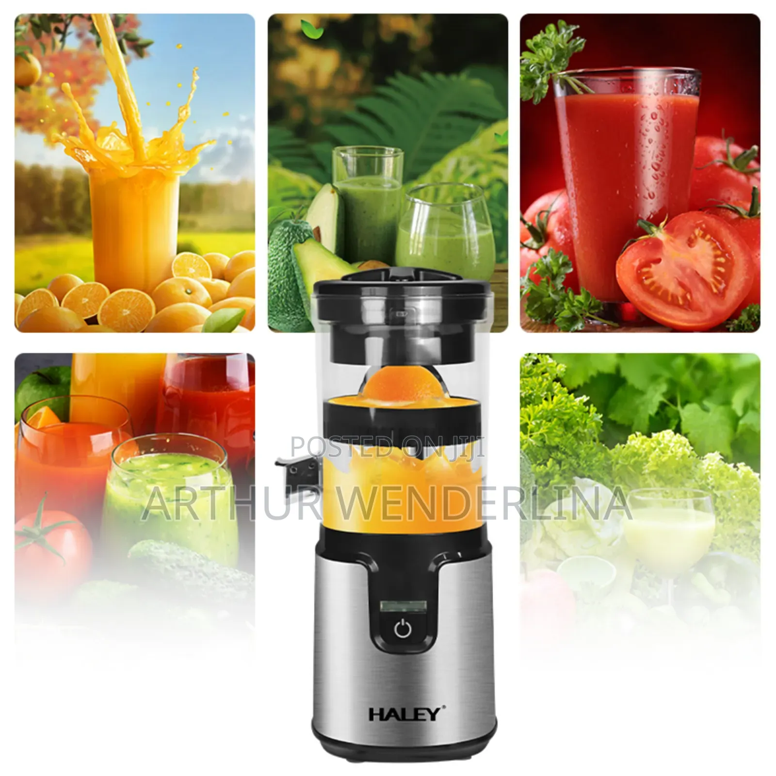 Haley Citrus Juicer Mini Rechargeable Electric Juicer Portable Usb
