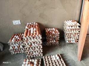 Farm Fresh Eggs