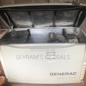 Generac Generator