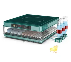 Quality R130eggs Incubator