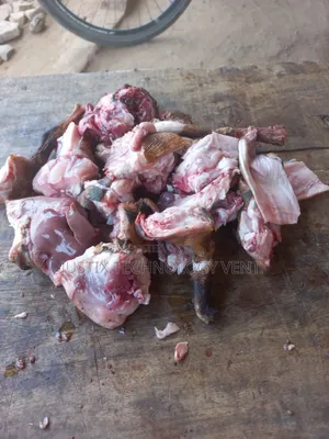 Fresh Rabbit Meat
