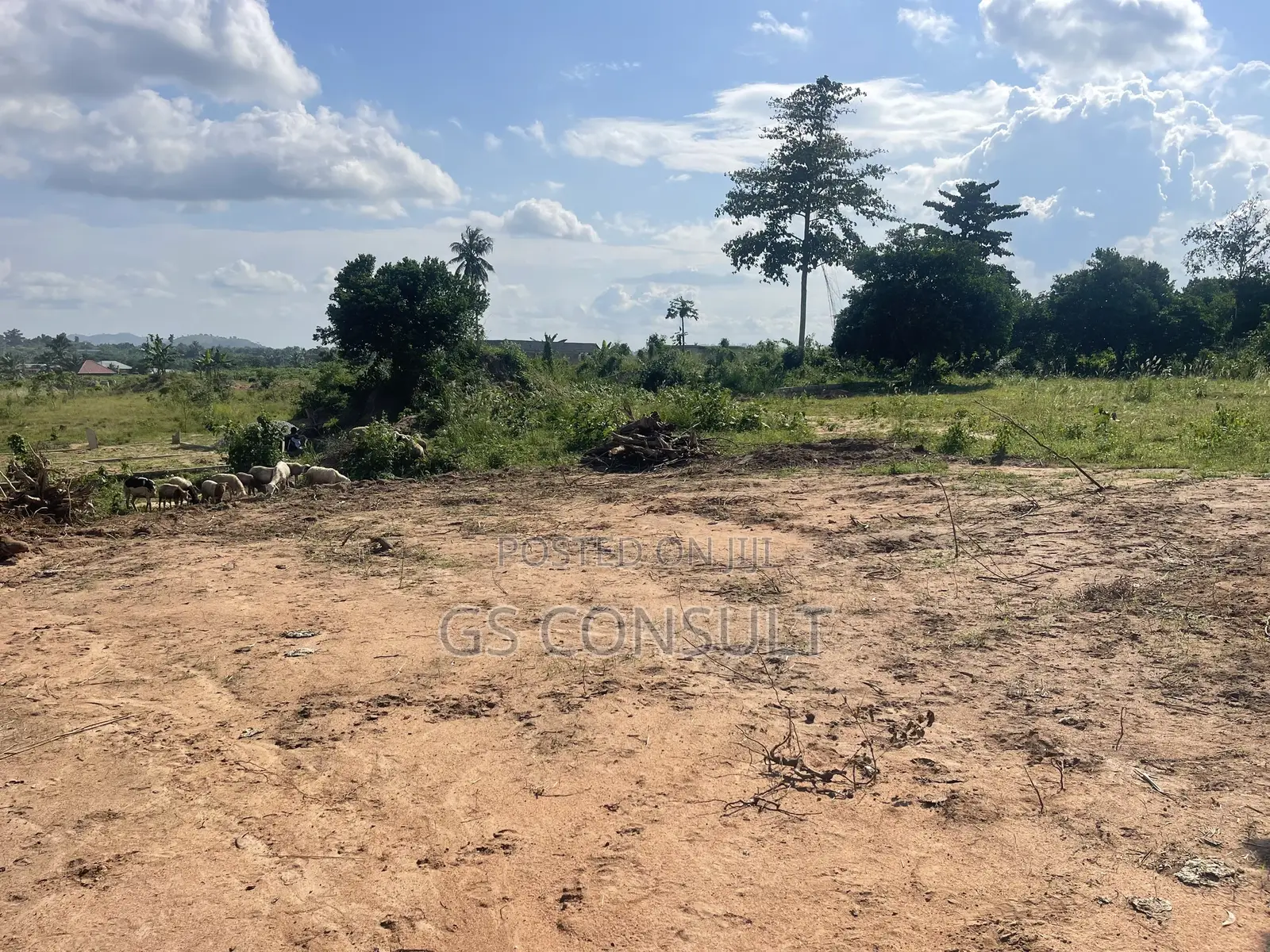 Nsawam Land for Sale