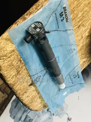 Diesel Fuel Injectors