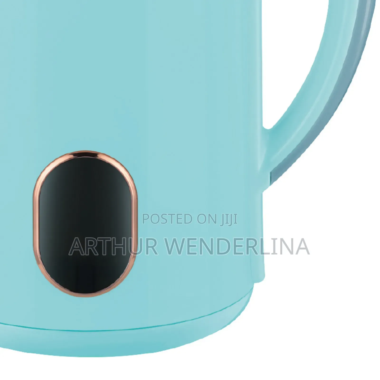 Haley Electric Kettle 2.5liters