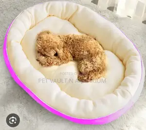 Medium Fluffy Bed for Pet