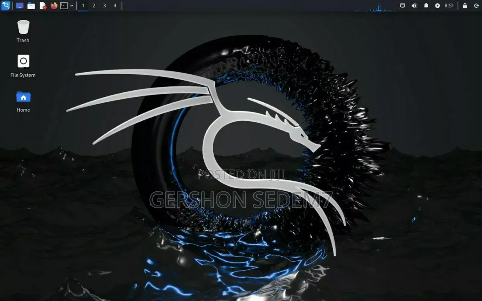 Kali Linux Os Installation Service
