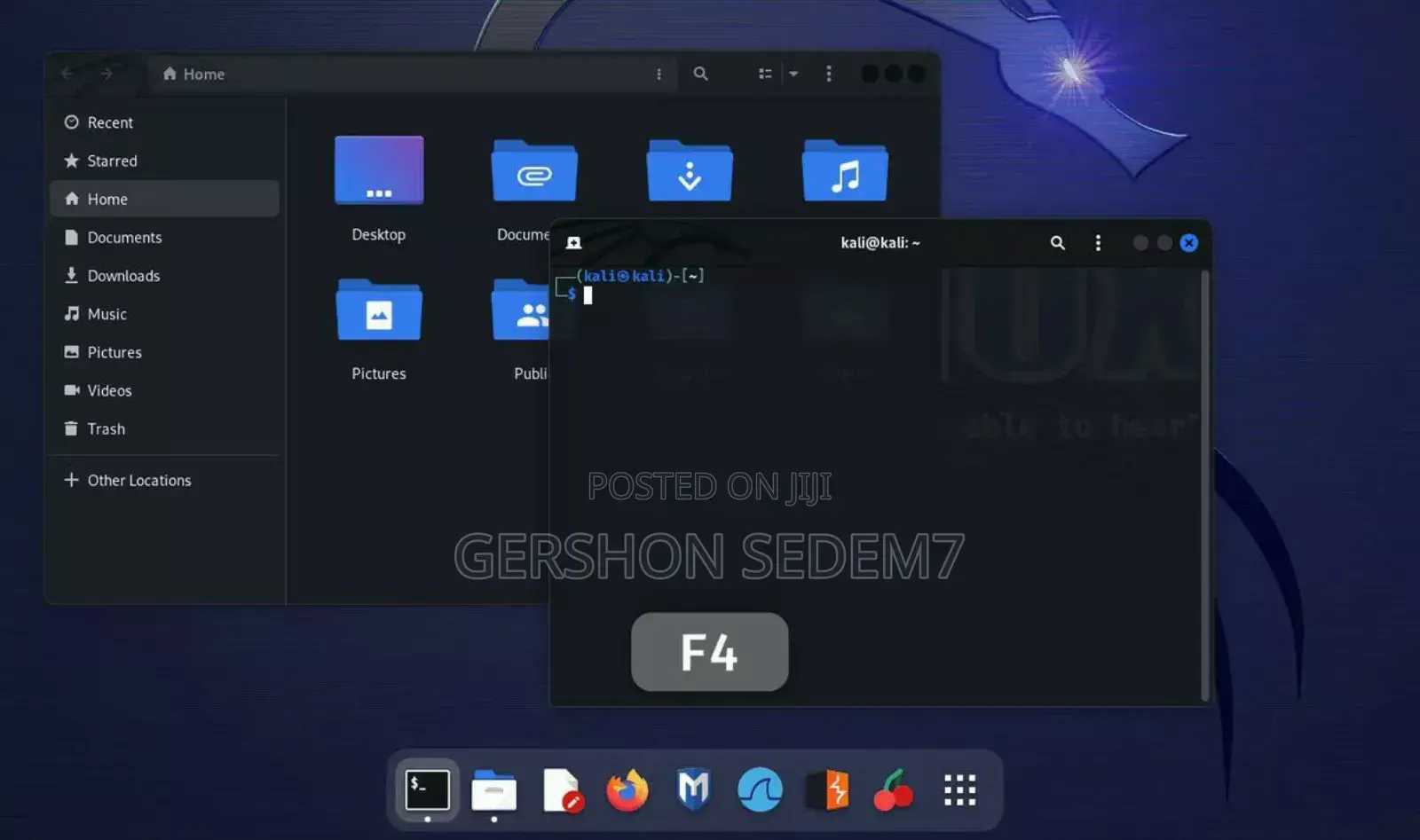 Kali Linux Os Installation Service