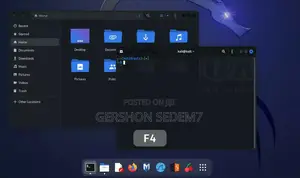 Kali Linux Os Installation Service