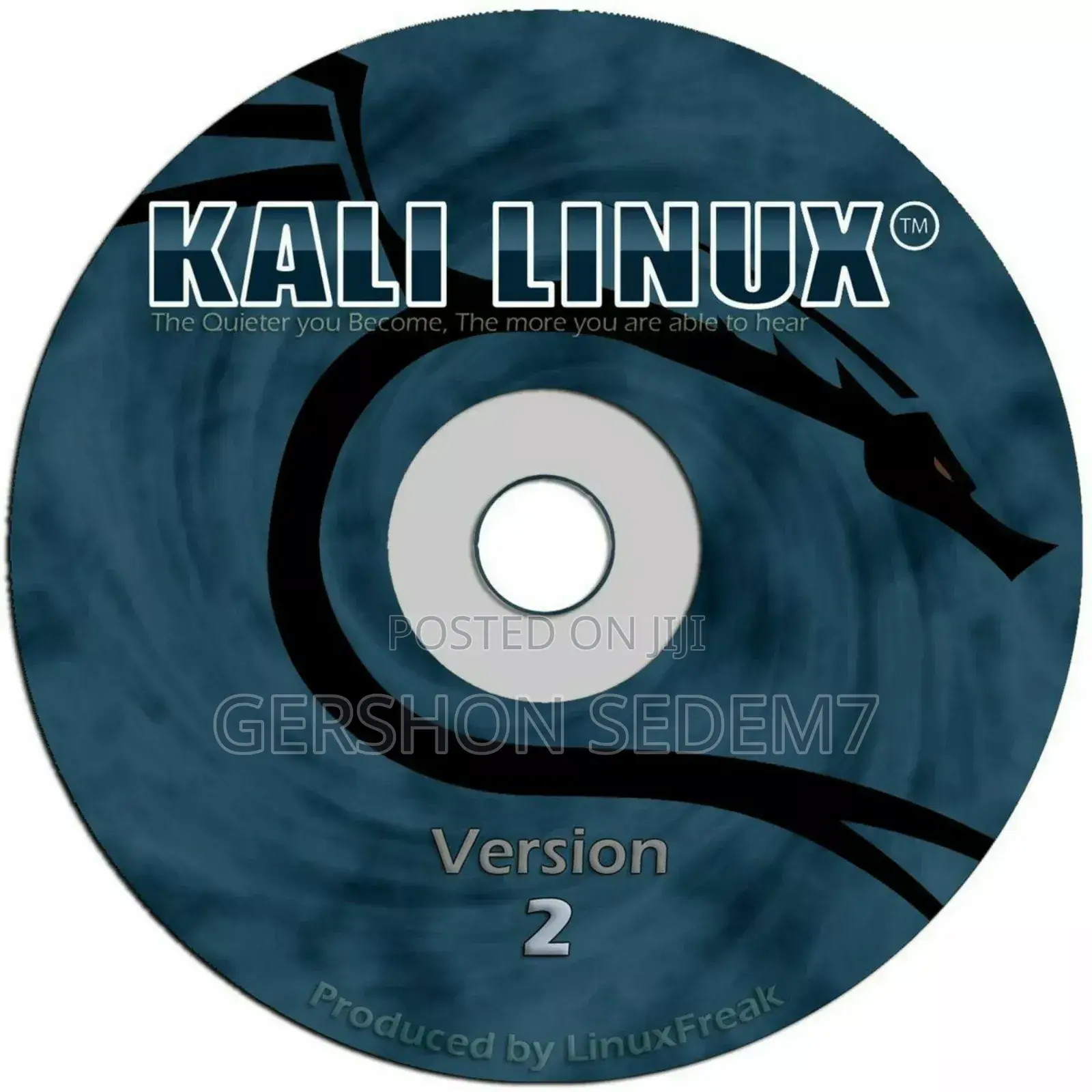 Kali Linux Os Installation Service