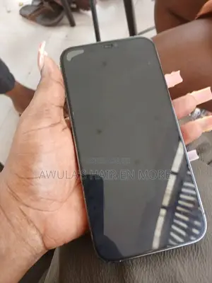 Apple iPhone 12 Pro Max 256 GB Gray