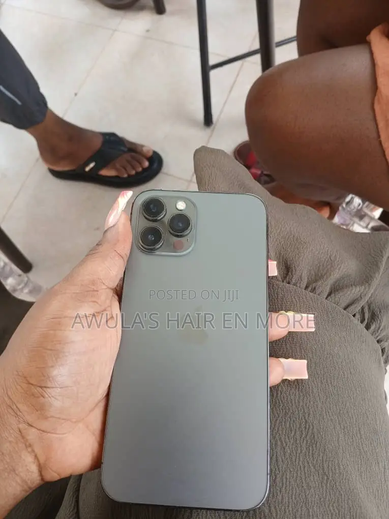 Apple iPhone 12 Pro Max 256 GB Gray