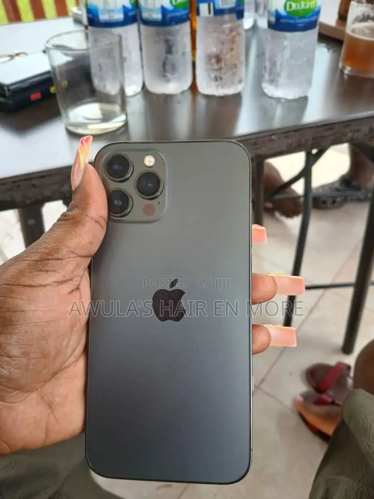 Apple iPhone 12 Pro Max 256 GB Gray