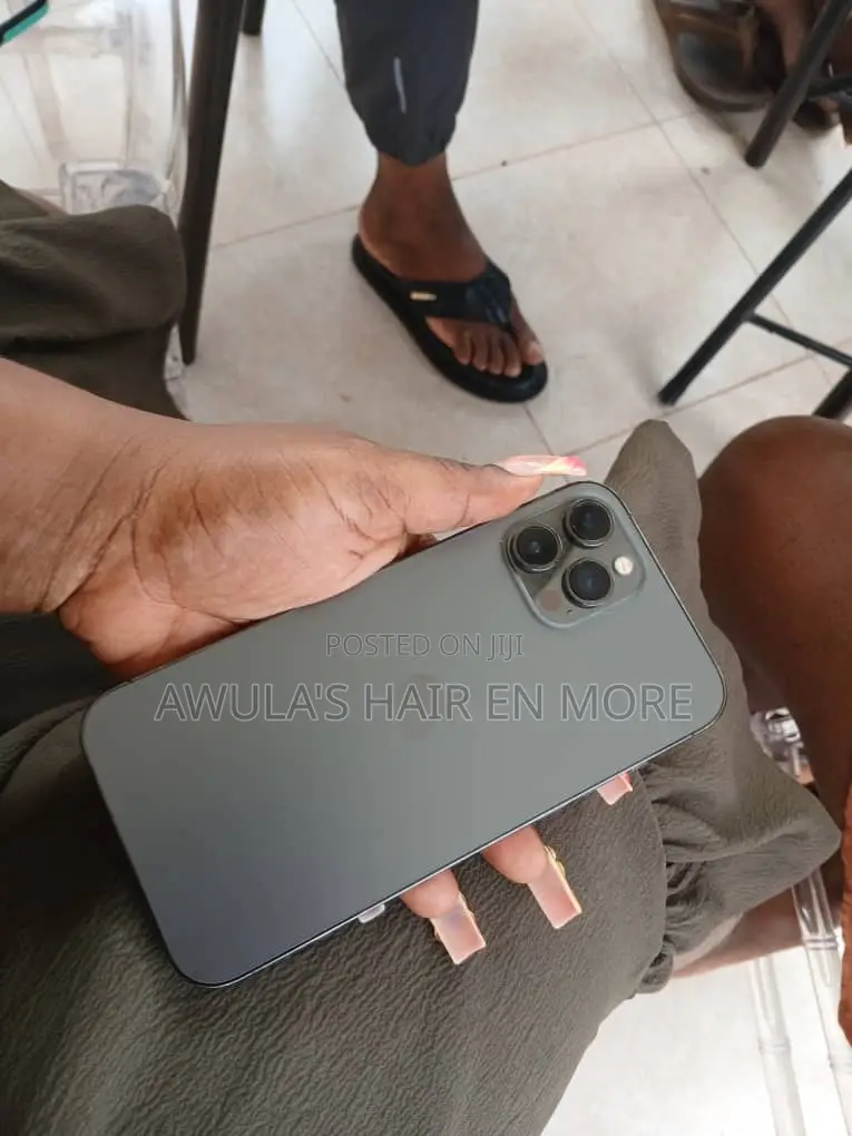 Apple iPhone 12 Pro Max 256 GB Gray