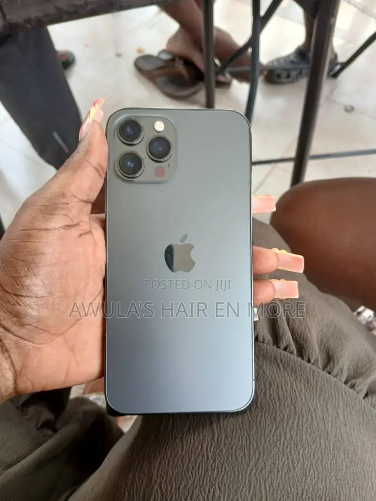 Apple iPhone 12 Pro Max 256 GB Gray
