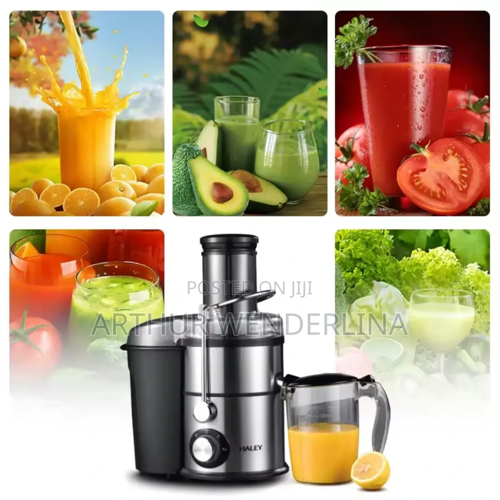 Haley Juice Extractor