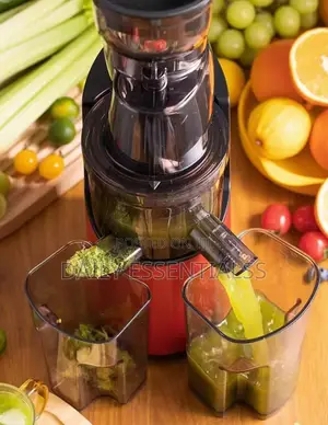 Premium Slow Press Juicer – Home & Office Use