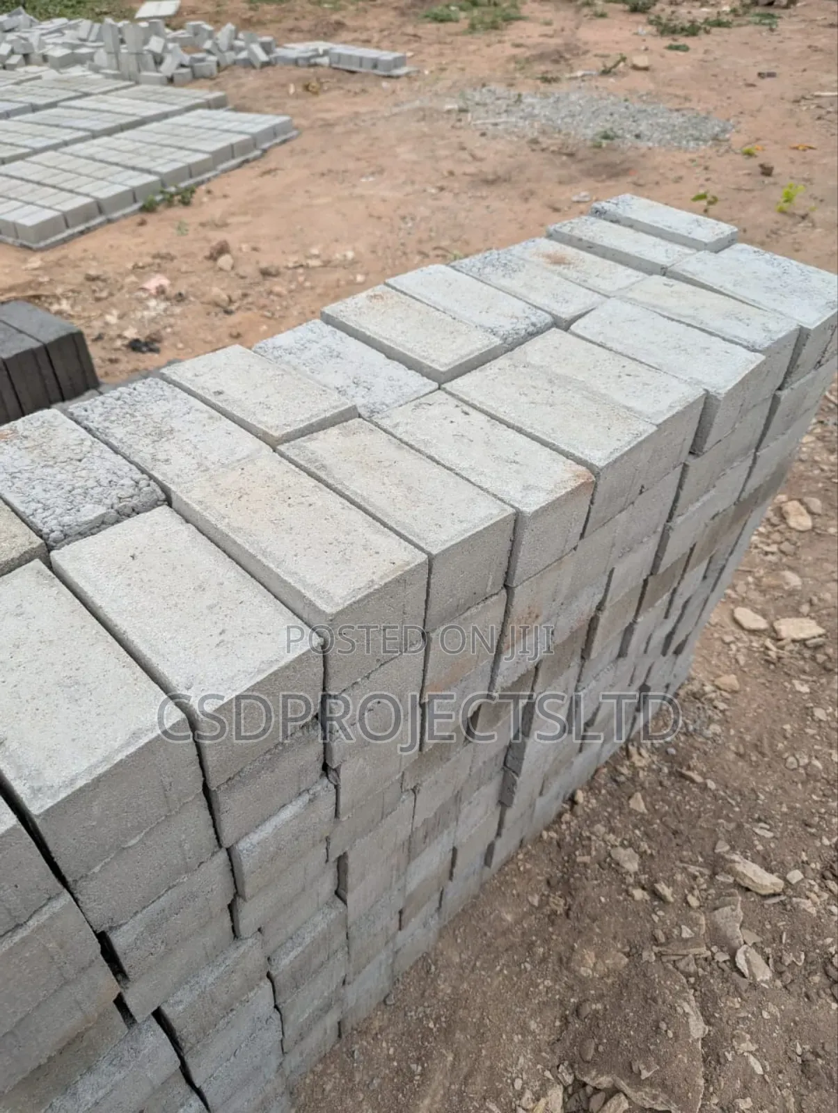 Bricks or Pavement Block Expect