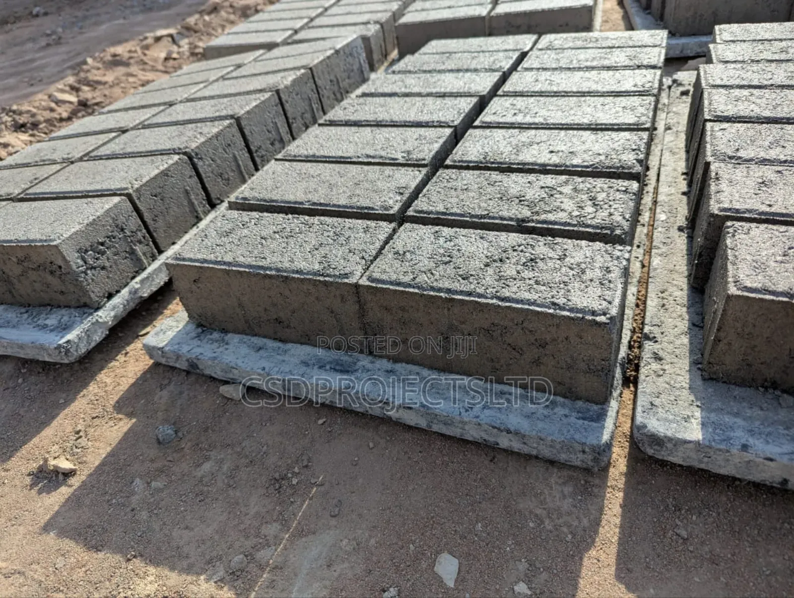 Bricks or Pavement Block Expect