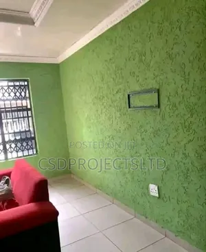 Experience Graffito or Painting Work