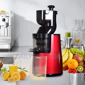 Sokany 300w Cold Press Juice Maker