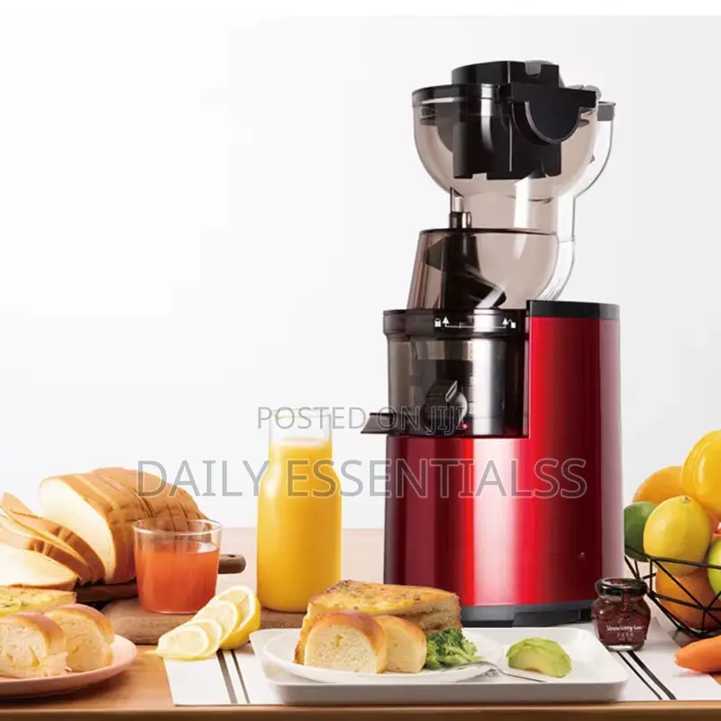 Sokany 300w Automatic Fruit Juicer